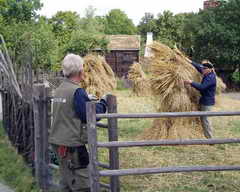 В Кемеровском районе все хозяйства приступили к заготовке сенажа